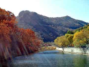 新澳天天开奖资料大全旅游团，康保seo排名